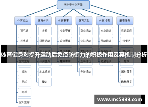 体育健身对提升运动后免疫防御力的积极作用及其机制分析