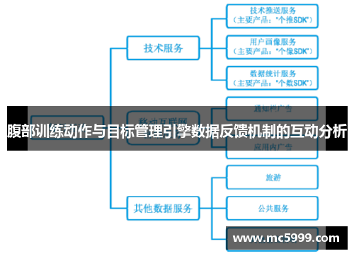 腹部训练动作与目标管理引擎数据反馈机制的互动分析