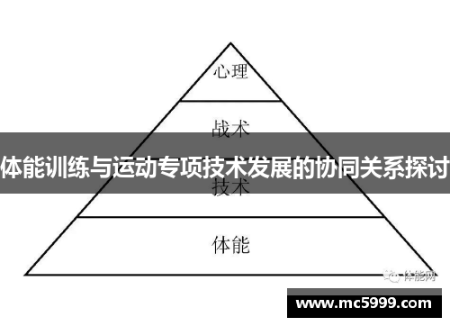 体能训练与运动专项技术发展的协同关系探讨